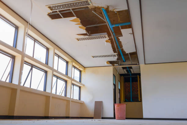 Best Basement water damage restoration  in Chelsea, MA