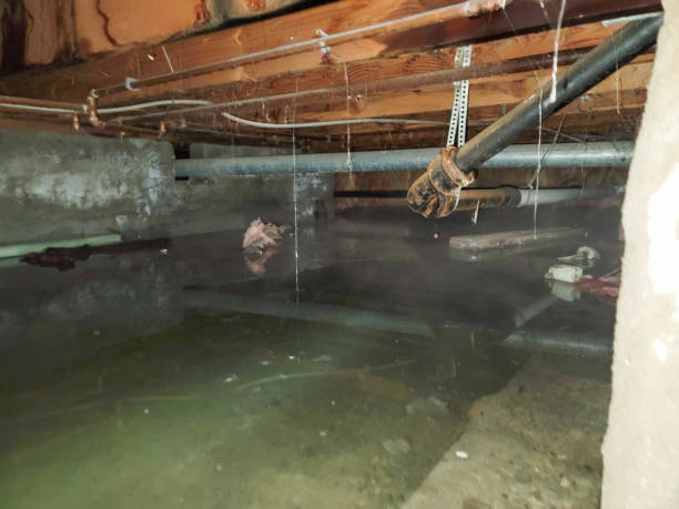 Best Emergency water damage restoration  in Chelsea, MA