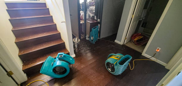 Best 24/7 water damage repair  in Chelsea, MA