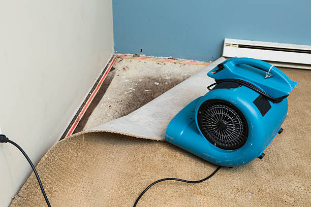 Best Ceiling water damage repair  in Chelsea, MA